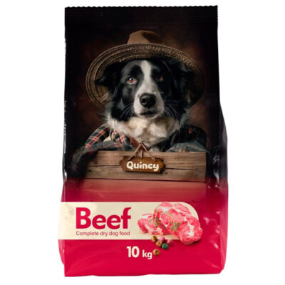 QUINCY with Beef საქონლის ხორცის არომატით 10kg
